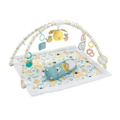 Fisher Price Fisher-Price® Honey Bee Music And Lights Activity Gym Multi