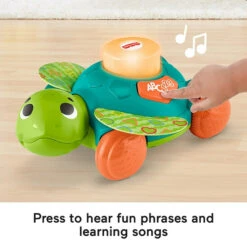 Fisher Price Fisher-Price® Linkimals™ Sit-to-Crawl Sea Turtle Multi -Fisher Price Shop unnamed file 196