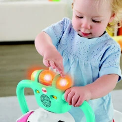 Fisher Price Fisher-Price® Bounce & Spin Puppy Multi -Fisher Price Shop unnamed file 242